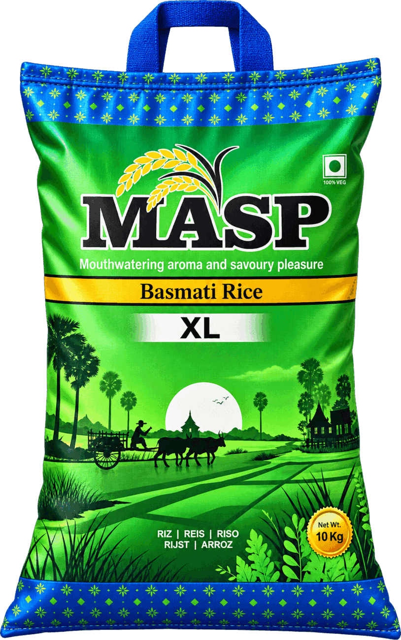 MASP Foods XL — 10kg pack · front