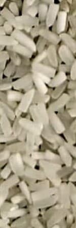 MASP Dubar grain