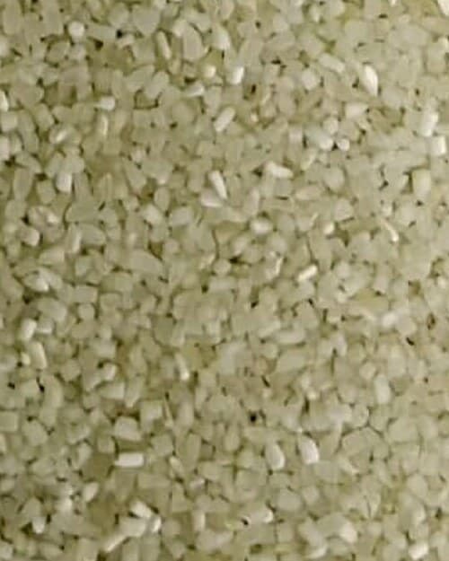 MASP Mini Mogra grain